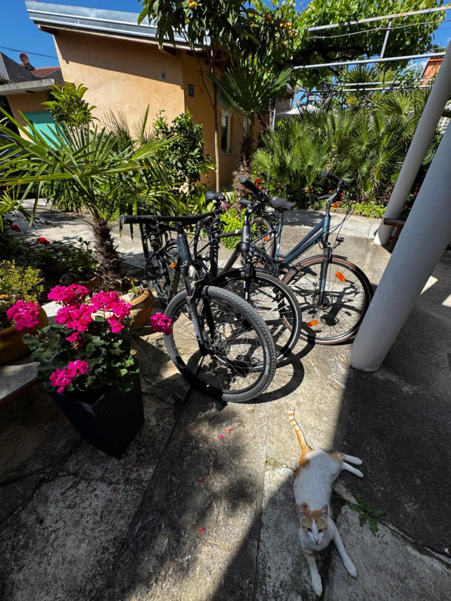 Eleonora Apartments Zára Kültér fotó